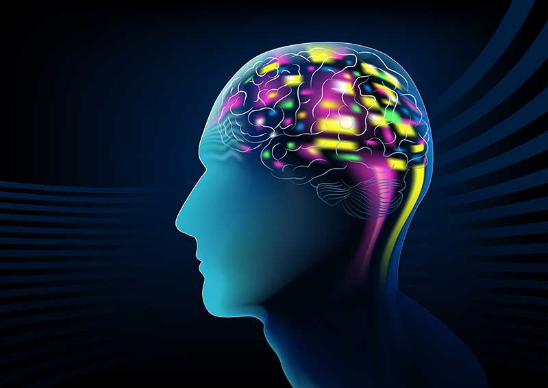 psychology services  Tampa, FL 